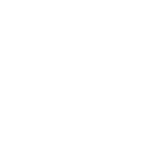 icon saving