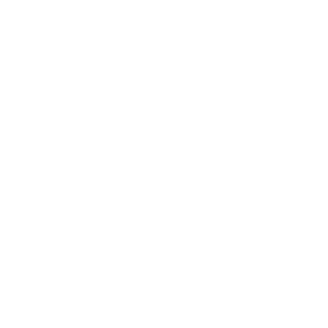 icon stability