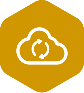 ico advancebackup shape