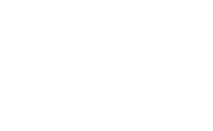 BSI logo
